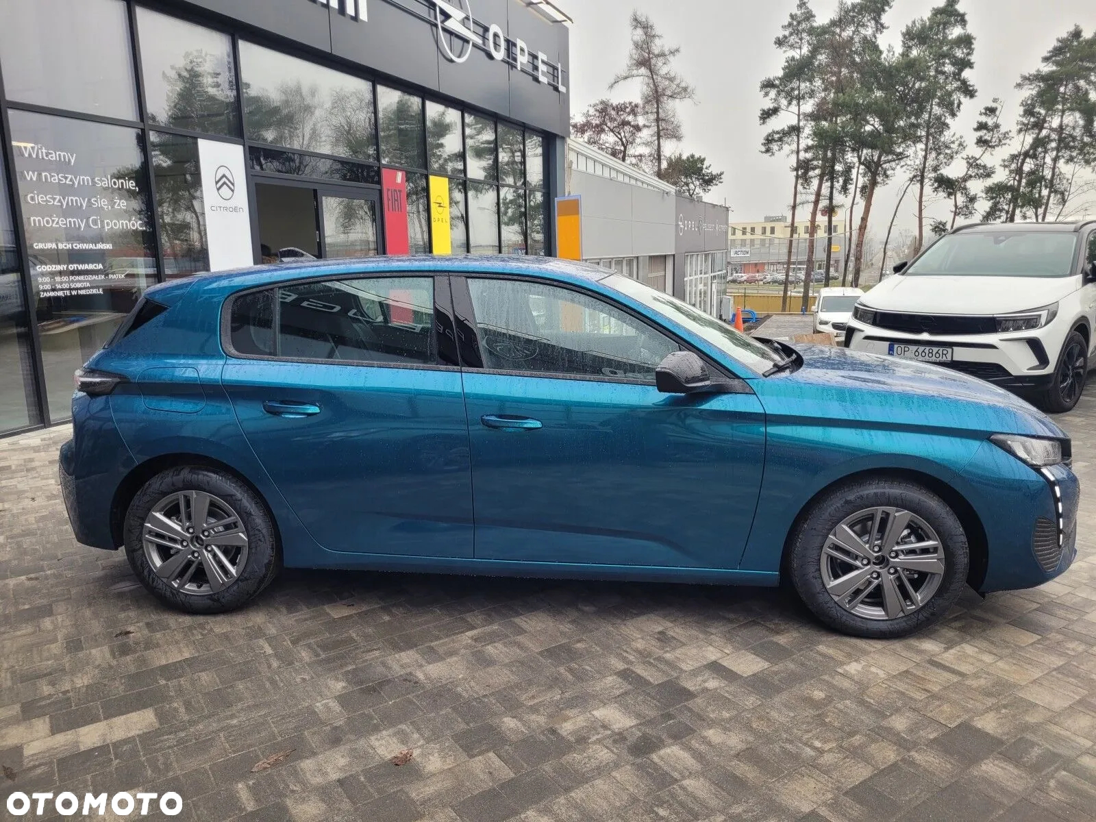 Peugeot 308 - 6