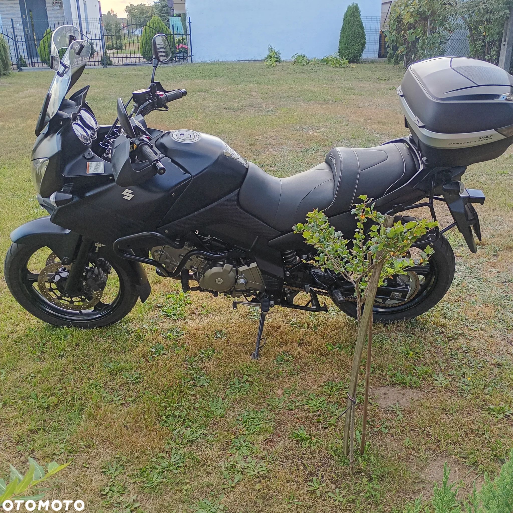 Suzuki DL - 1