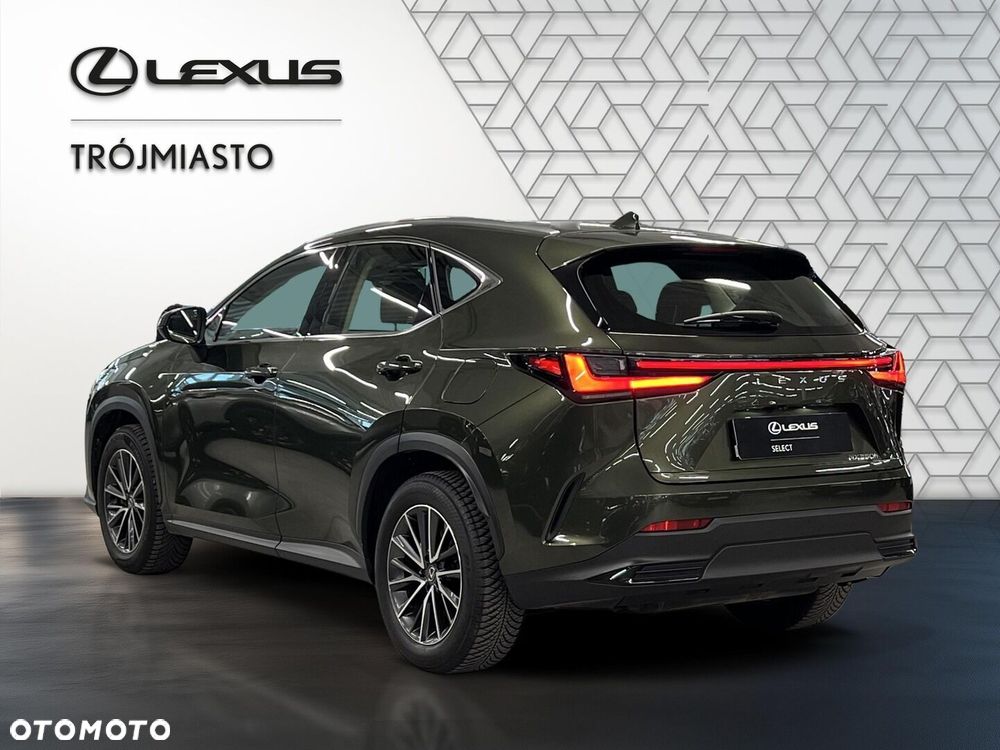 Lexus NX 350h Business AWD - 4