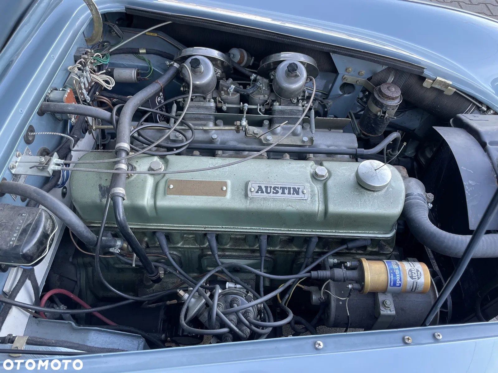 Austin Healey - 7