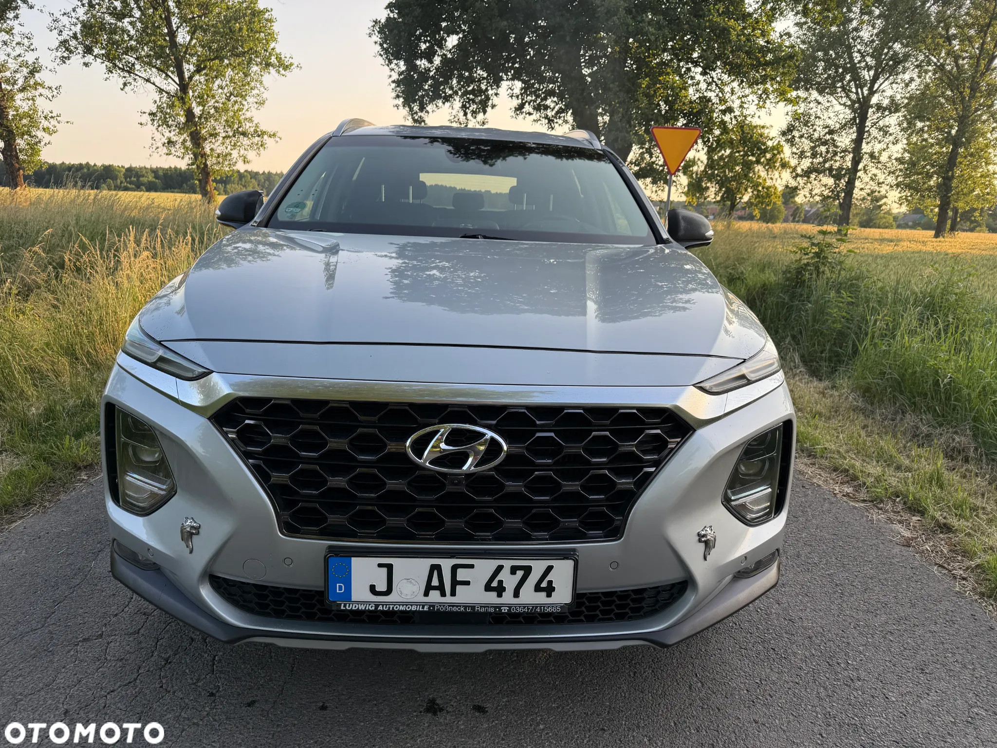 Hyundai Santa Fe 2.2 CRDi Platinum 4WD - 9