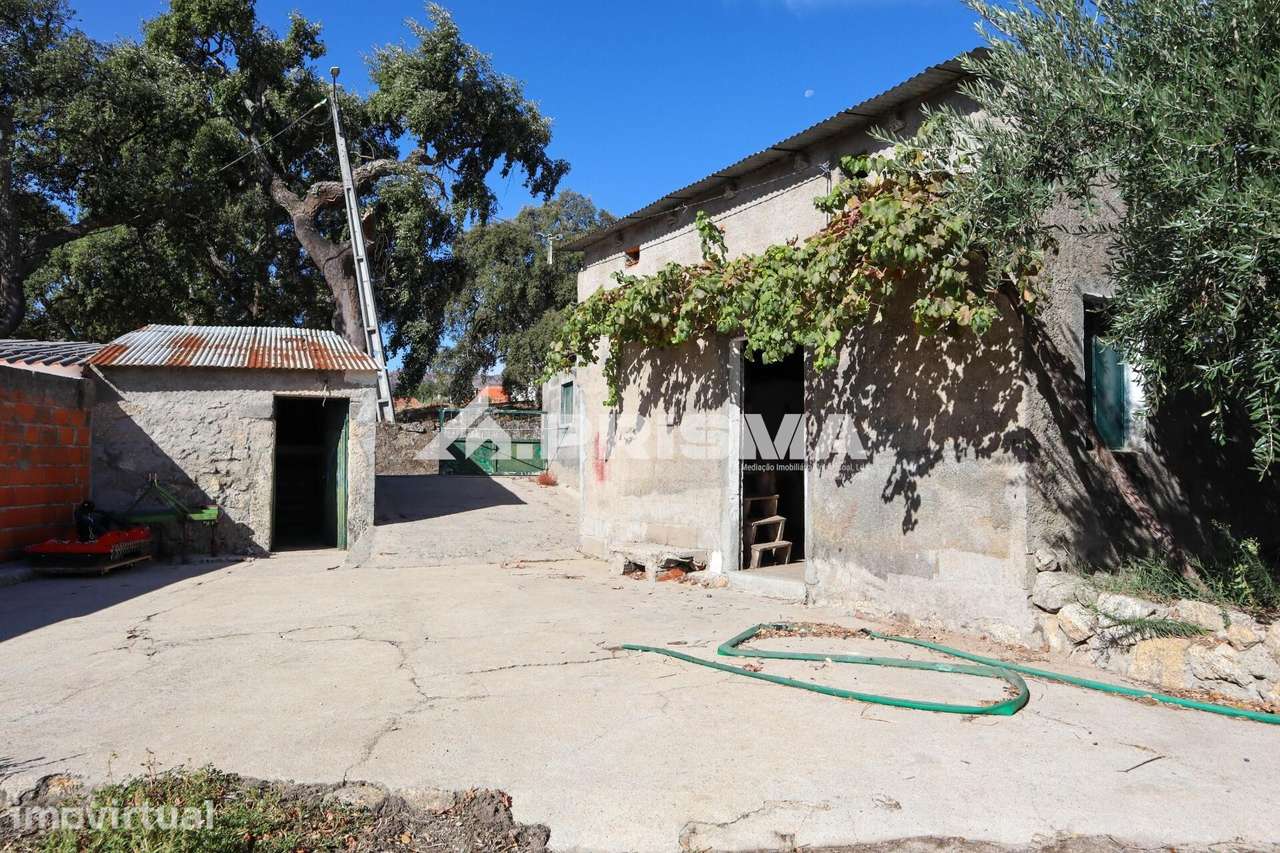Quintinha para venda em Louriçal do Campo - Grande imagem: 2/49