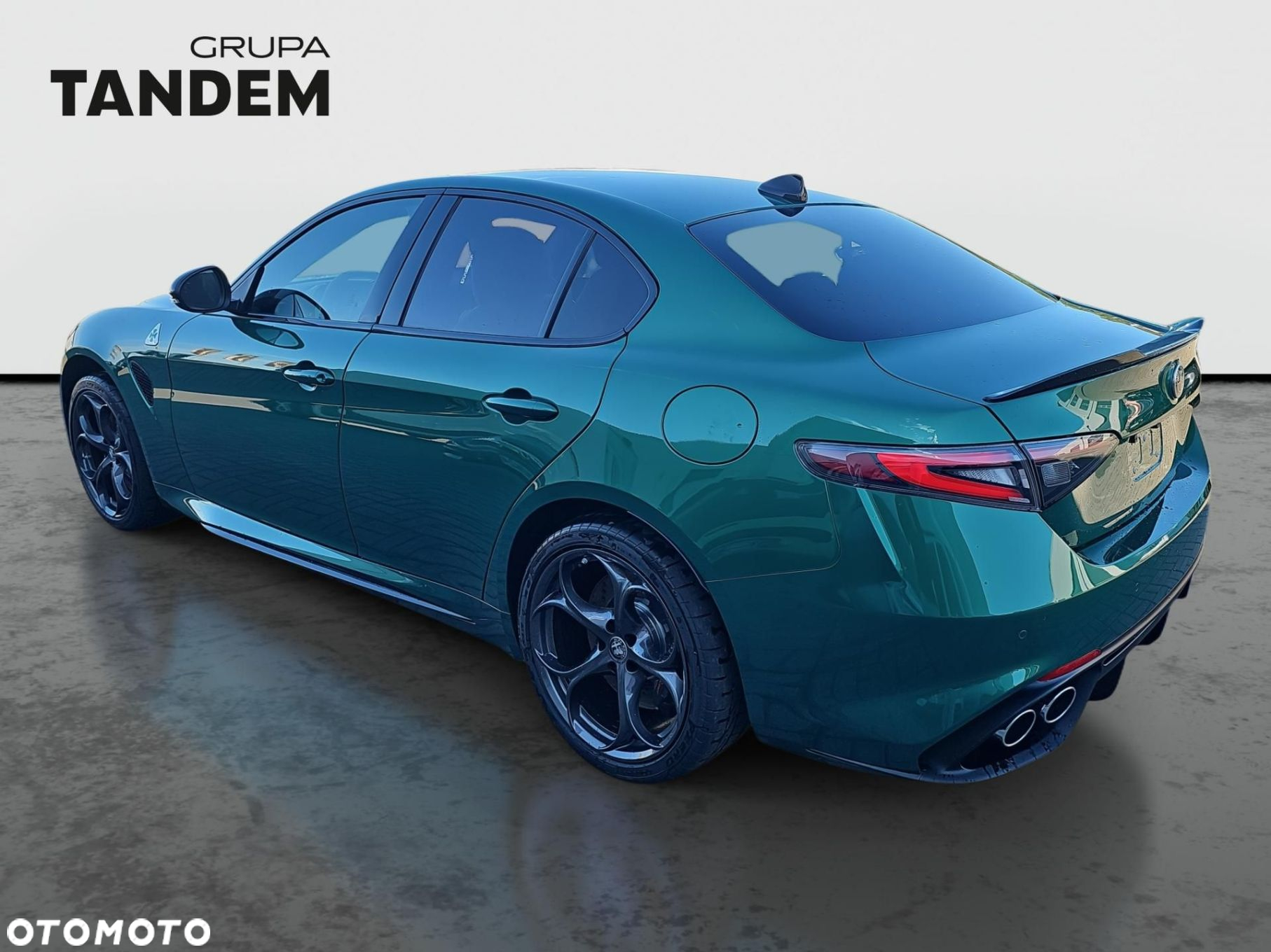 Alfa Romeo Giulia 2.9 Bi Turbo V6 Quadrifoglio - 7