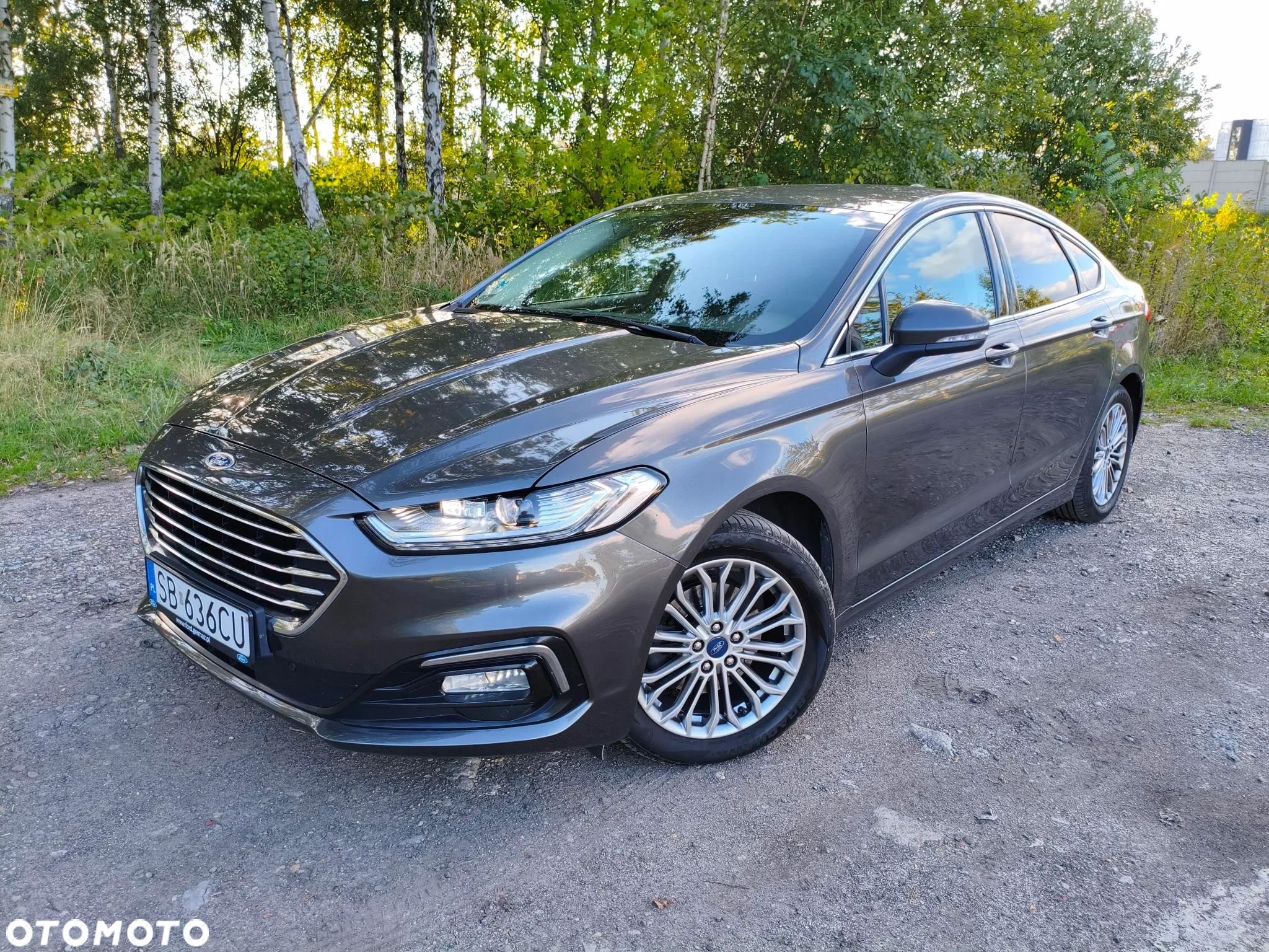 Ford Mondeo 2.0 EcoBlue Titanium - 1