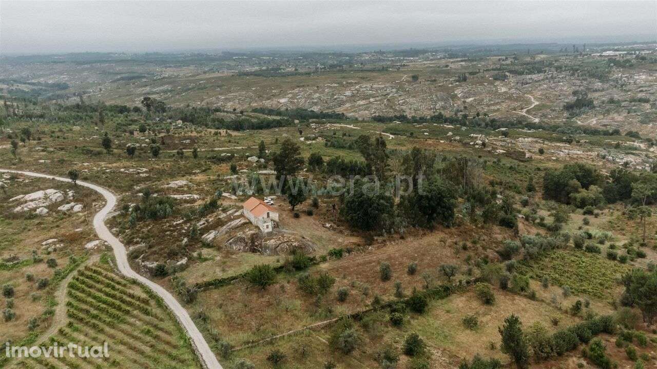 Quinta / Seia, Sameice e Santa Eulália - Grande imagem: 5/20