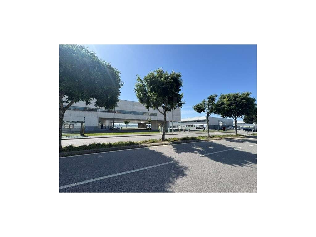 Loja para arrendamento no Centro Histórico de Viana do Castelo - Grande imagem: 5/5
