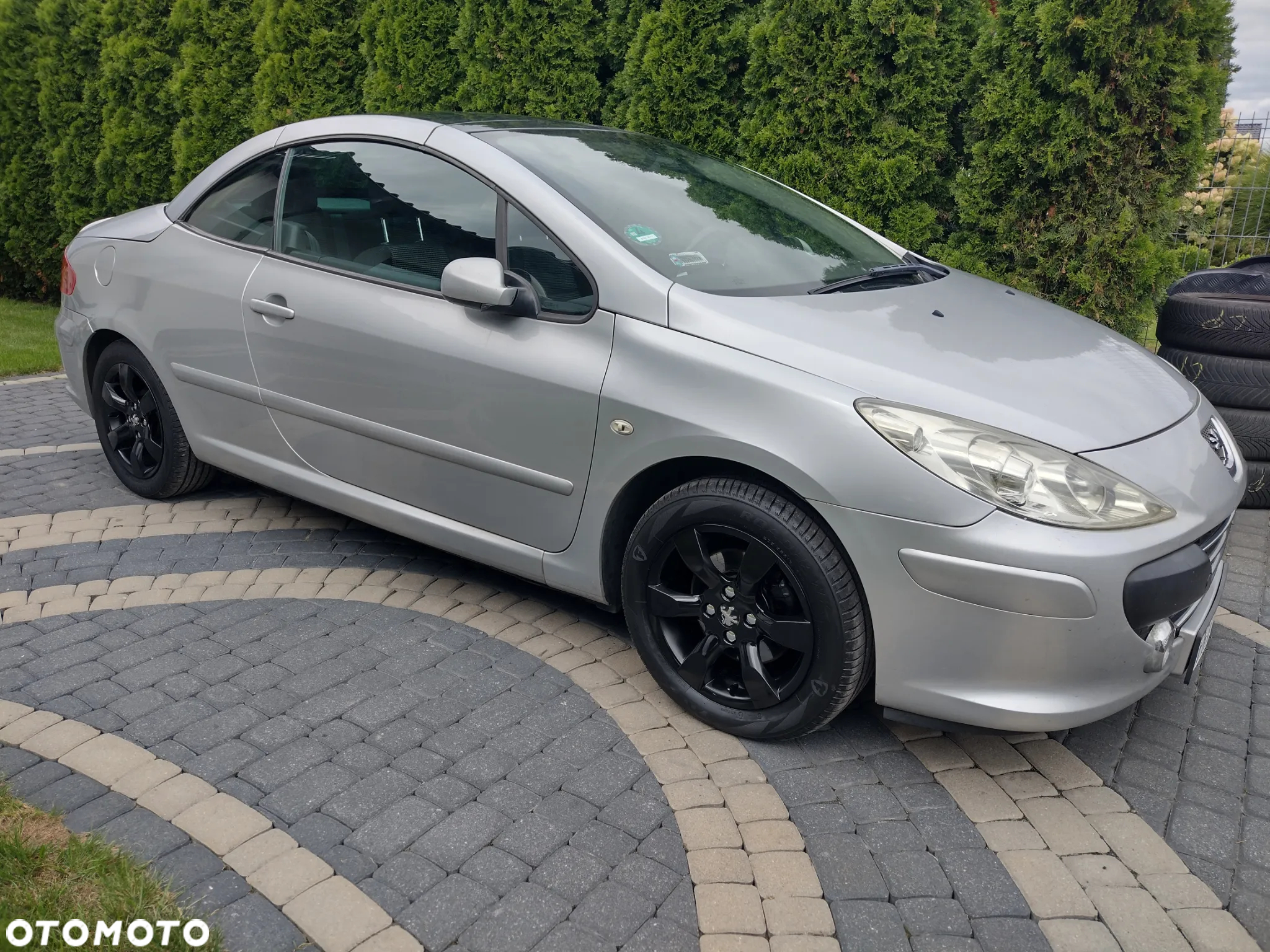 Peugeot 307 CC 2.0 Intense - 8