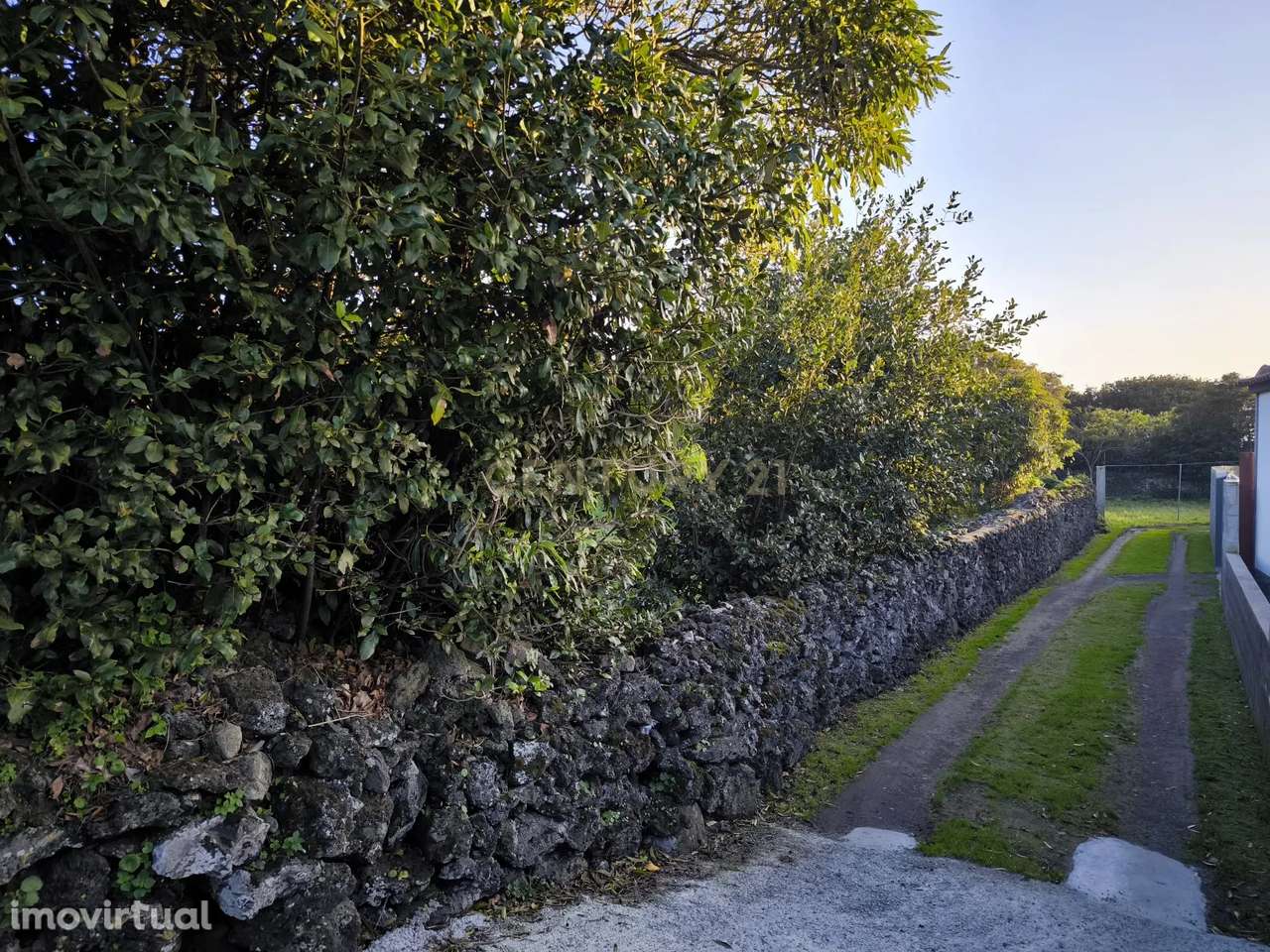 Terreno com 1 920m2, situado em Santa Cruz Lagoa - Grande imagem: 4/9