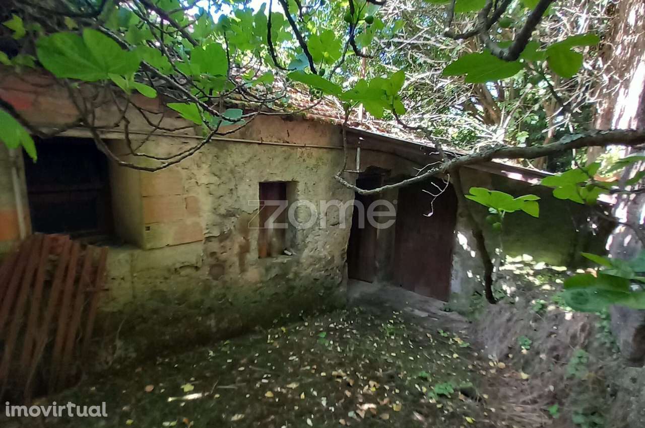 Oportunidade Única – Conjunto de 3 Moradias - Grande imagem: 5/30
