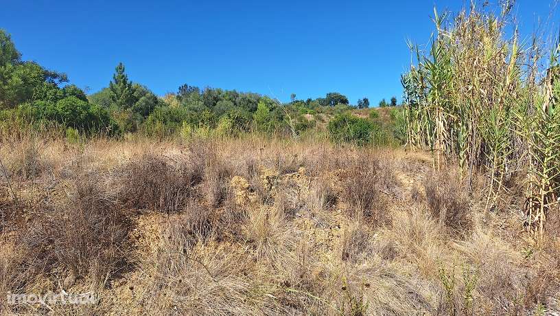 Terreno, 19 840 m², Pontével - Grande imagem: 2/4
