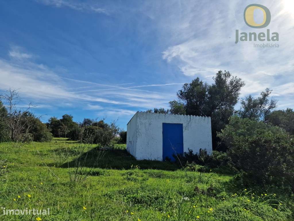 Quintinha com 4,5 ha, habitação, vista mar e bons acessos - Grande imagem: 5/12