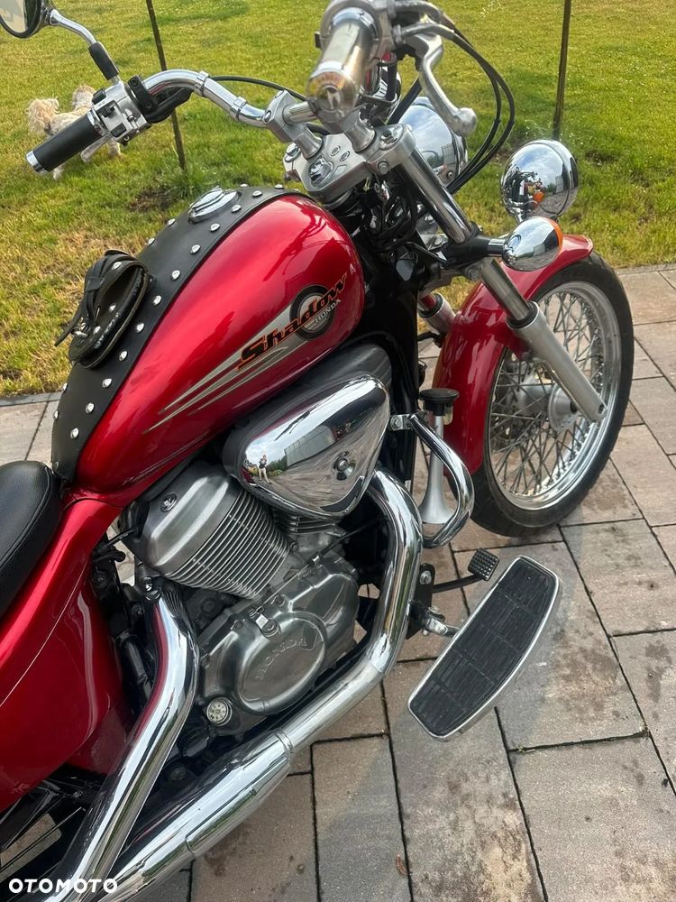 Honda Shadow - 4
