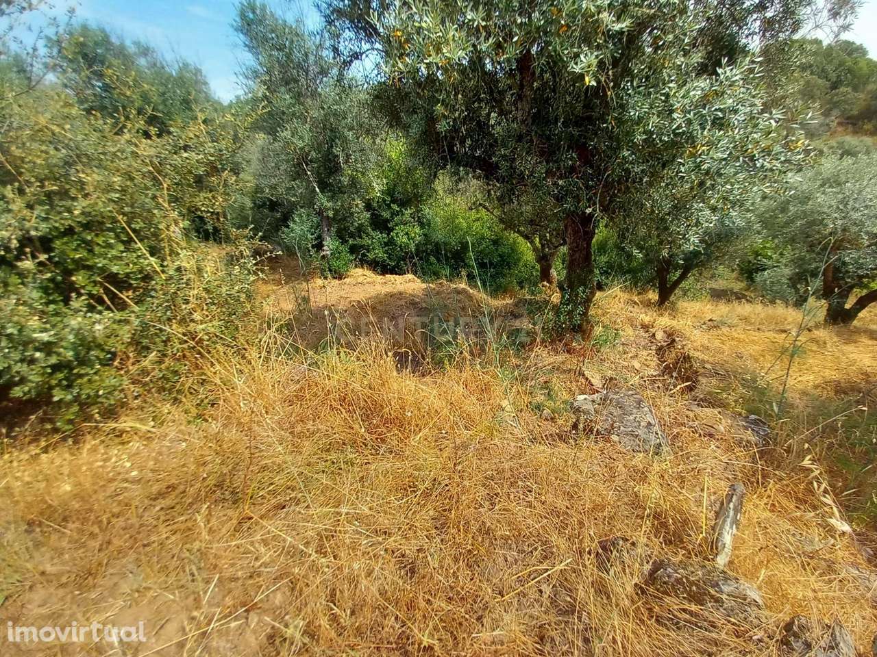 Terreno Rústico 520m2 Palvarinho - Grande imagem: 4/9