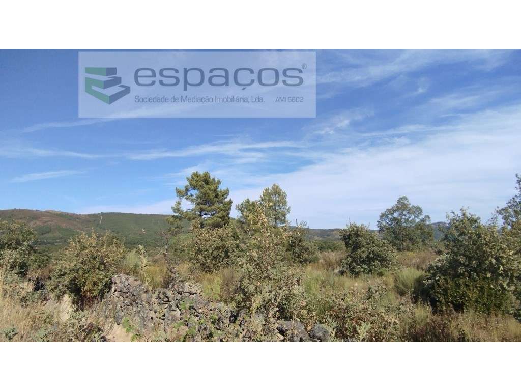 Terrenos - Grande imagem: 4/11