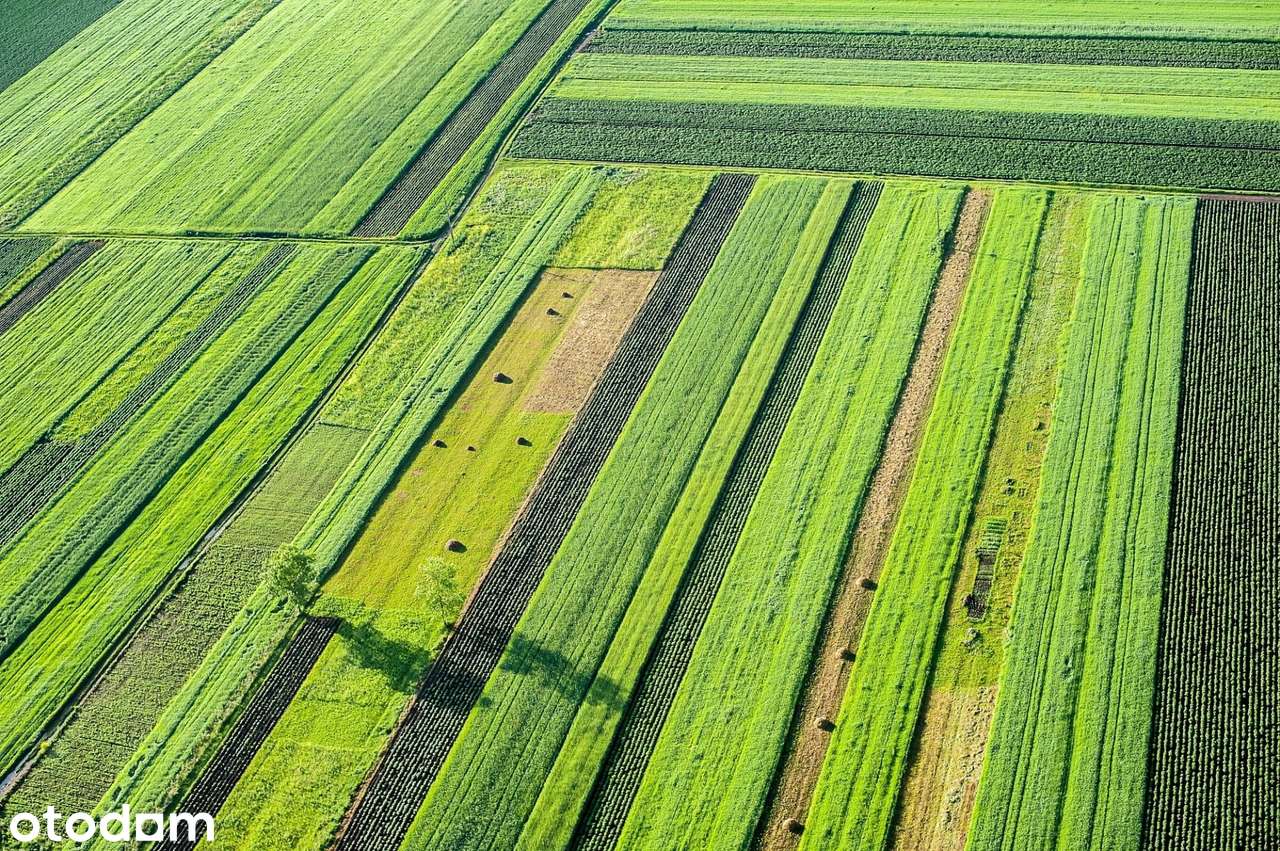 Dzierżawa gruntów rolnych - Pełny obrazek: 5/6