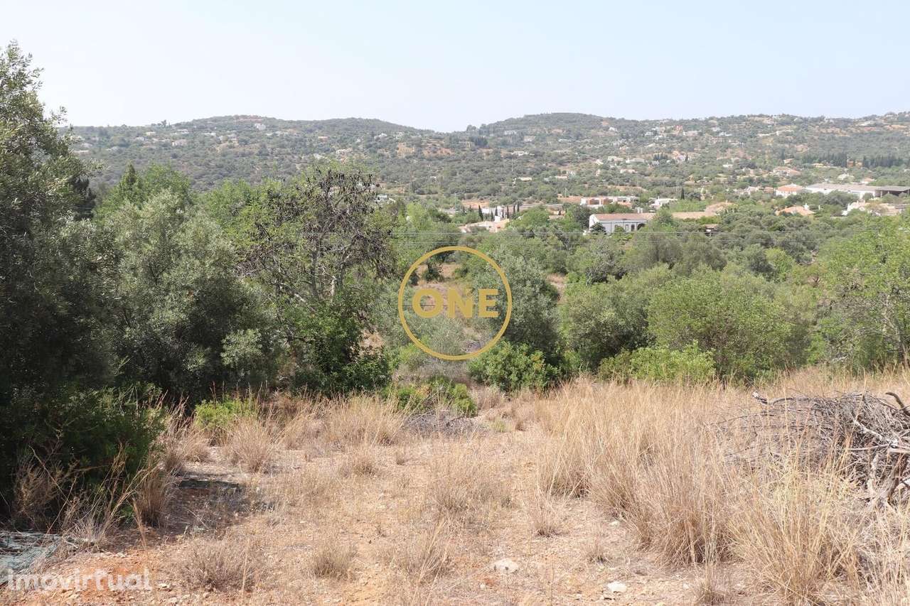 Terreno com viabilidade de construção para 2 moradias - Soalheira - Sã - Grande imagem: 4/6