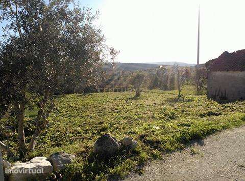 Vista para a Serra d'Aire e Candeeiros. - Grande imagem: 4/6