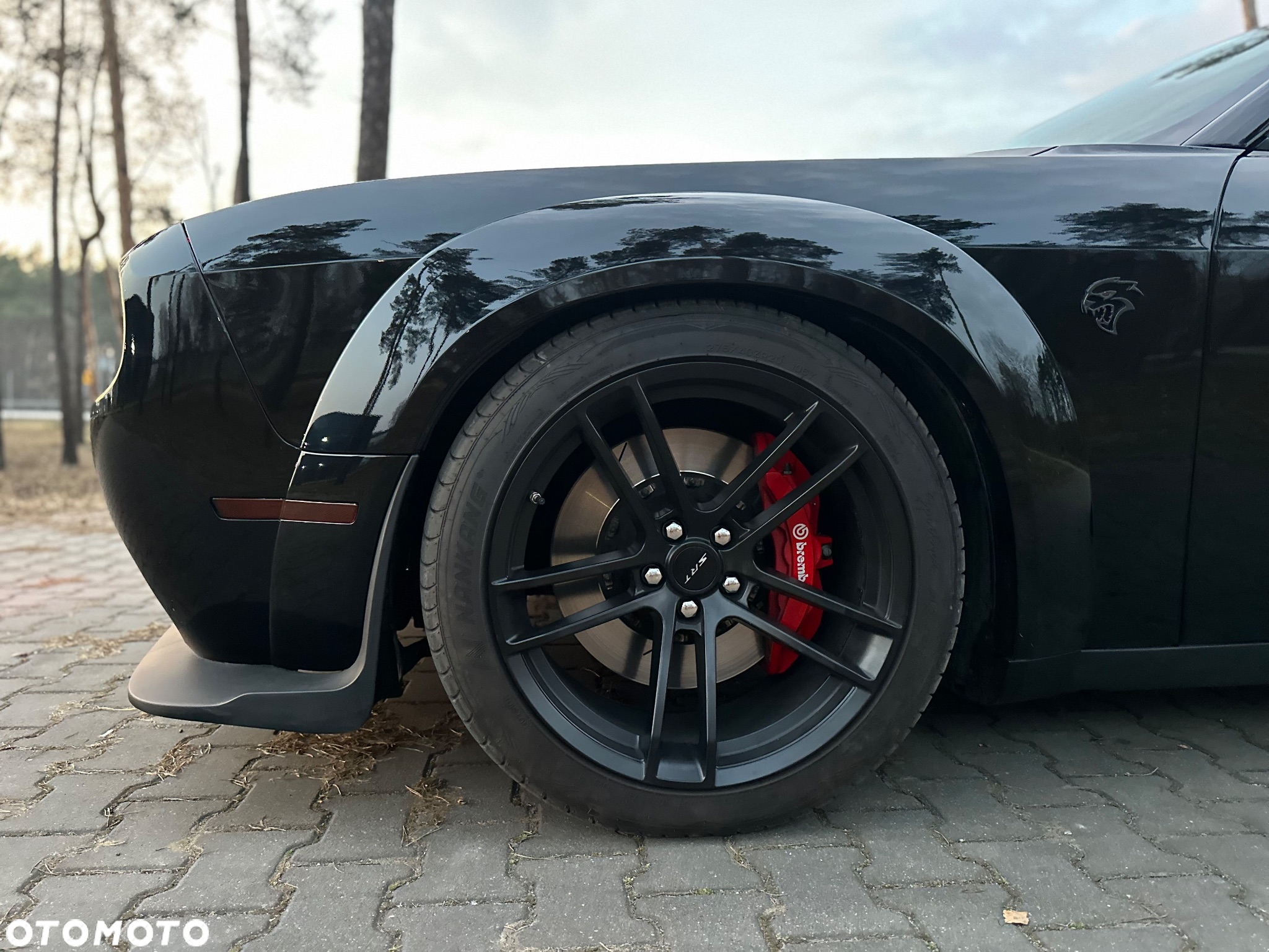 Dodge Challenger 6.2 Redeye Widebody - 31