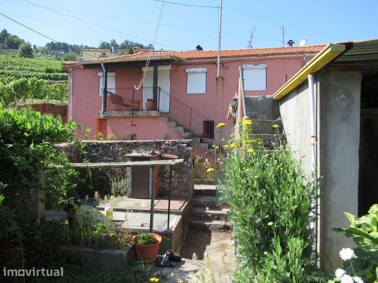 Douro - Moradia com adega e quintinha - Grande imagem: 5/20