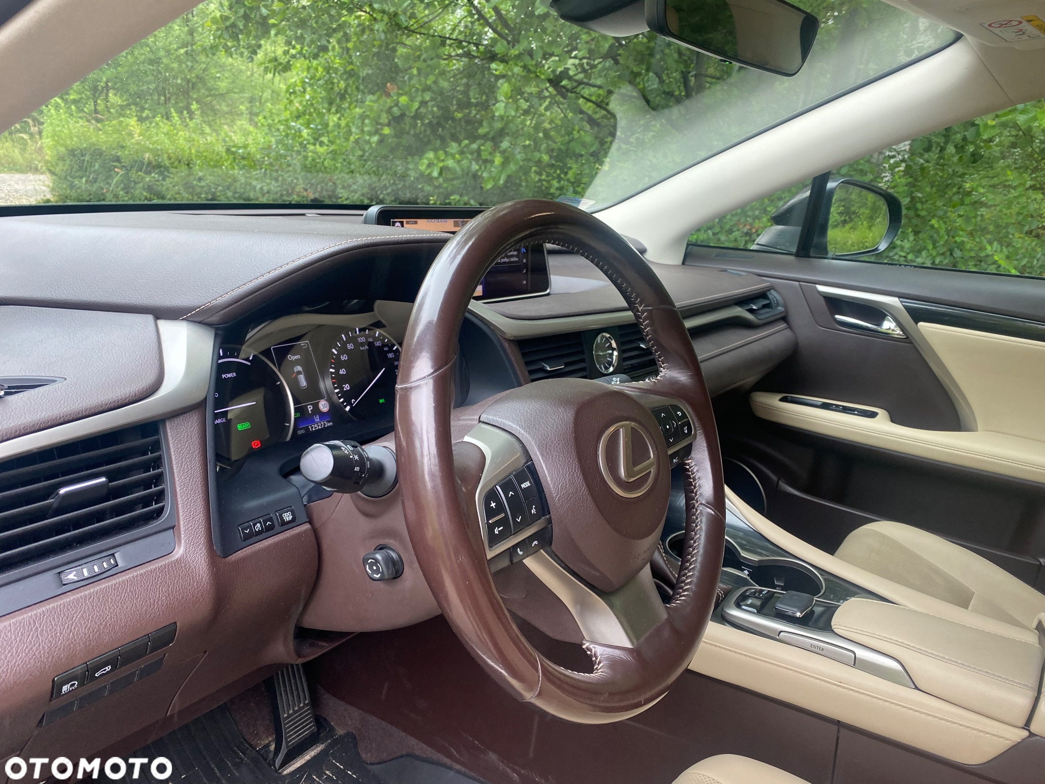 Lexus RX 450h L Prestige - 9