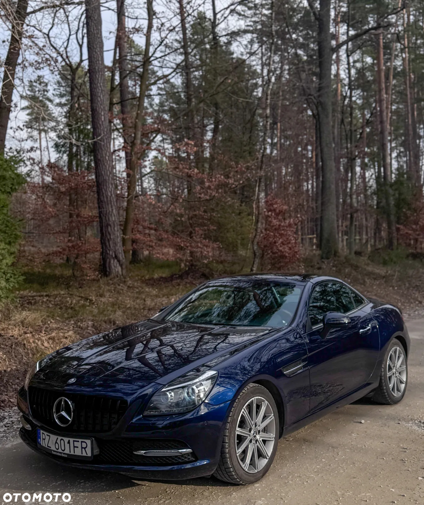 Mercedes-Benz SLK 350 (BlueEFFICIENCY) 7G-TRONIC - 15
