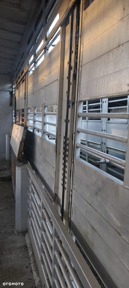 Zorzi 36s 136/19 LA - 10