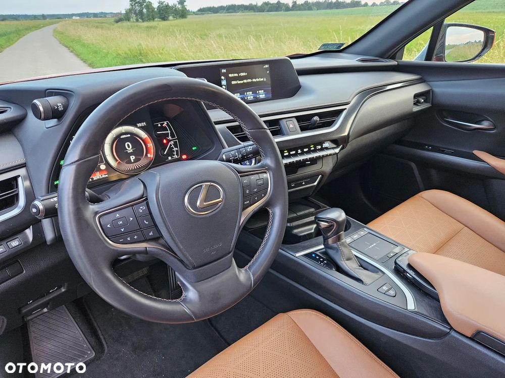 Lexus UX 250h GPF Omotenashi AWD - 8