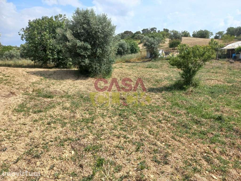 Terreno Rústico  Venda em Assentiz,Torres Novas - Grande imagem: 2/14