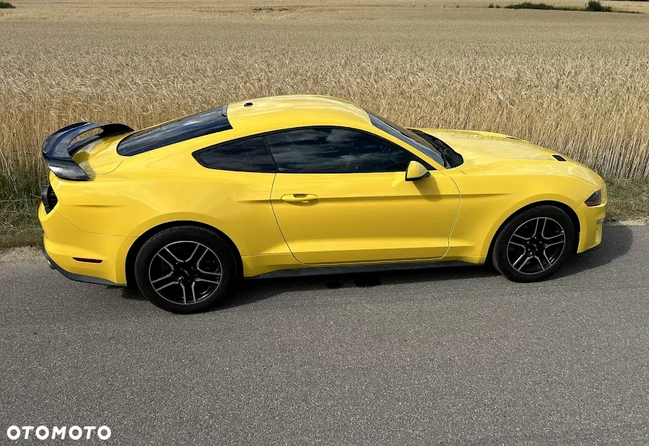 Ford Mustang 2.3 EcoBoost - 2