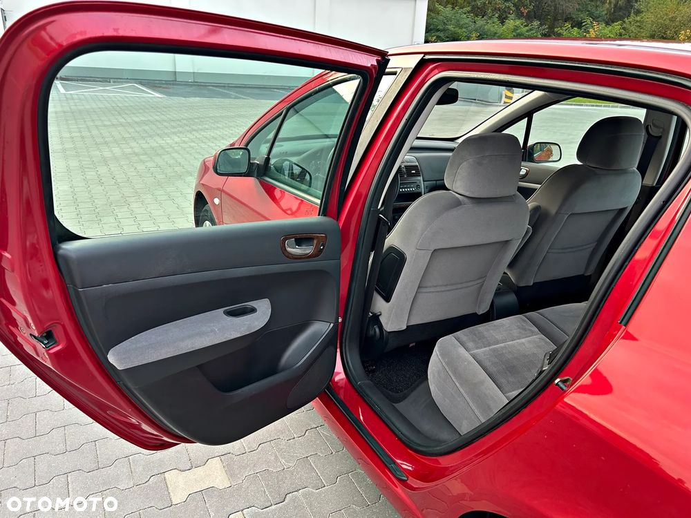 Peugeot 307 1.6 Premium - 13