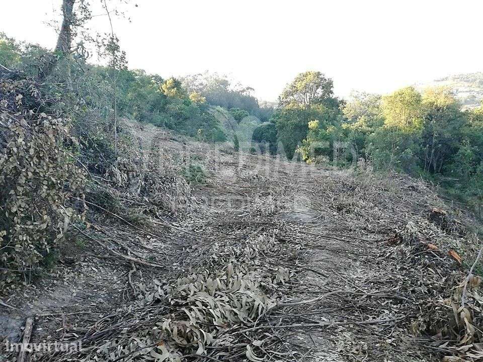 LOUSA. Lote terreno rústico com 16.320 m2 - Grande imagem: 4/7