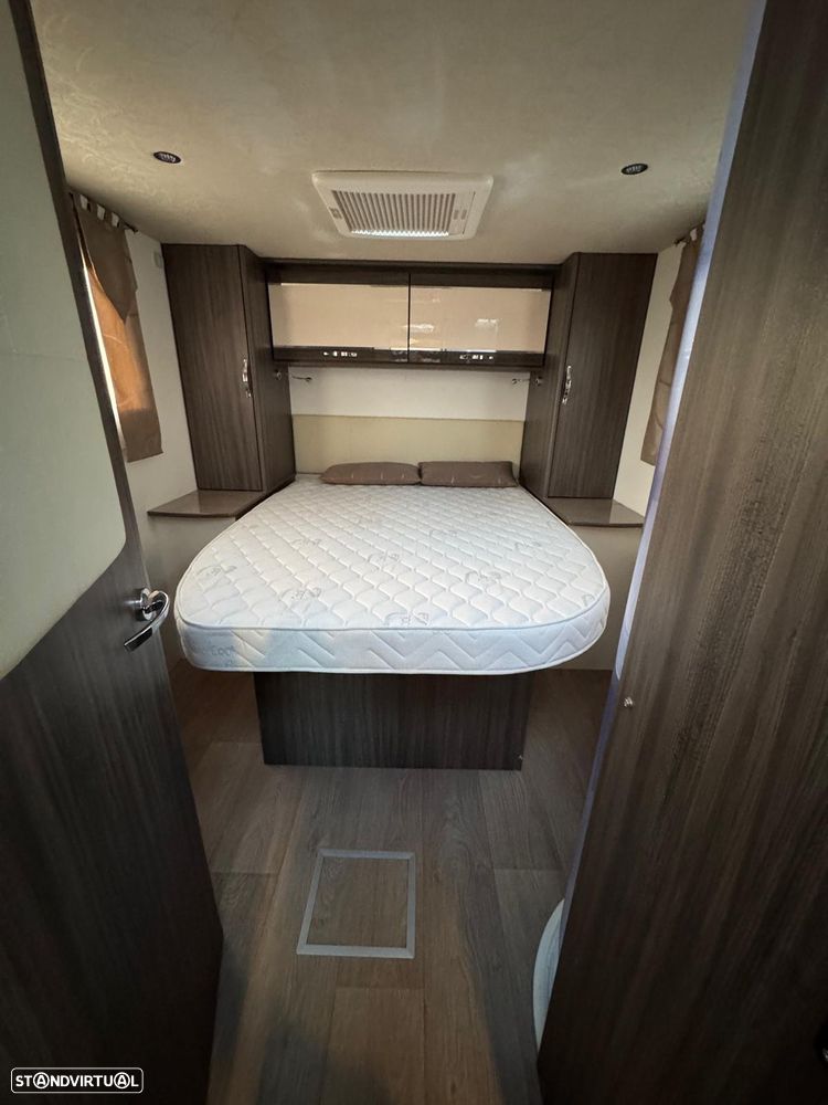 Florium Mayflower - 30