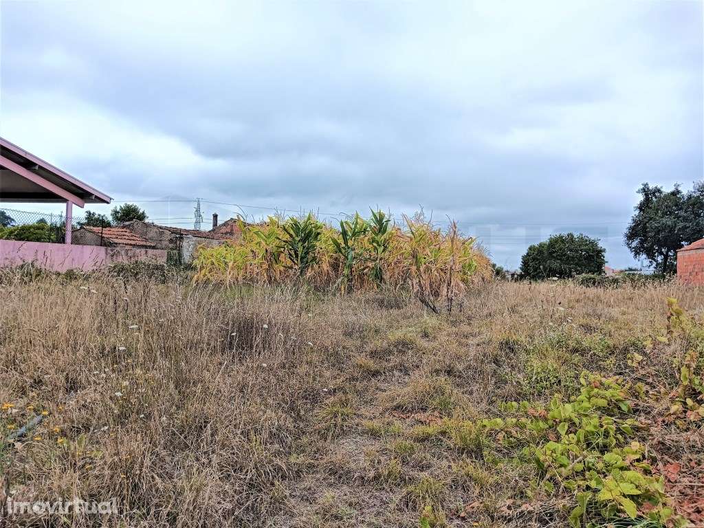 Terreno para construção de moradia - Estarreja - Grande imagem: 3/7