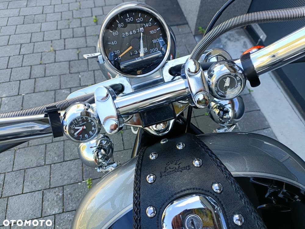 Suzuki Intruder - 21