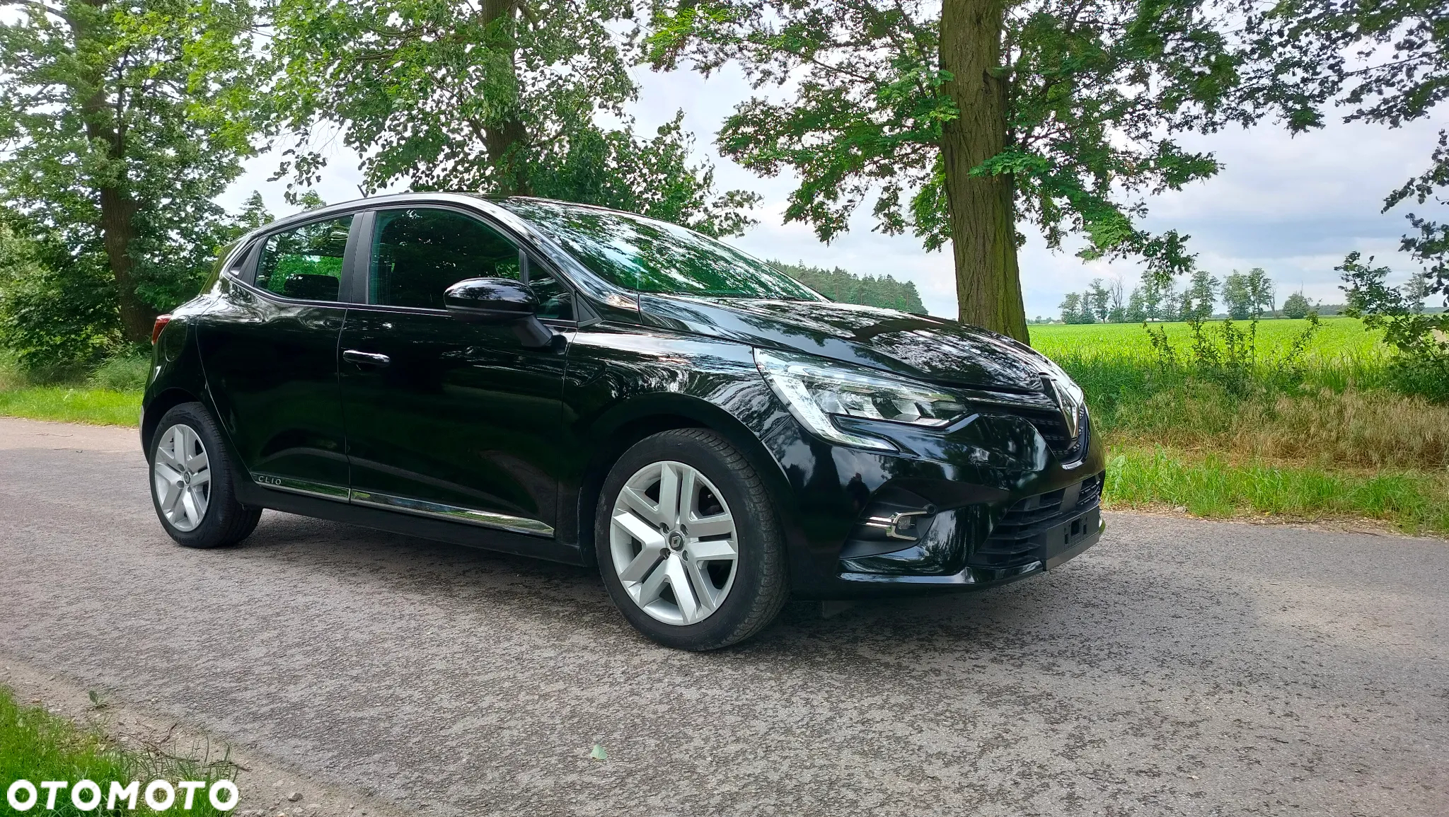 Renault Clio - 15