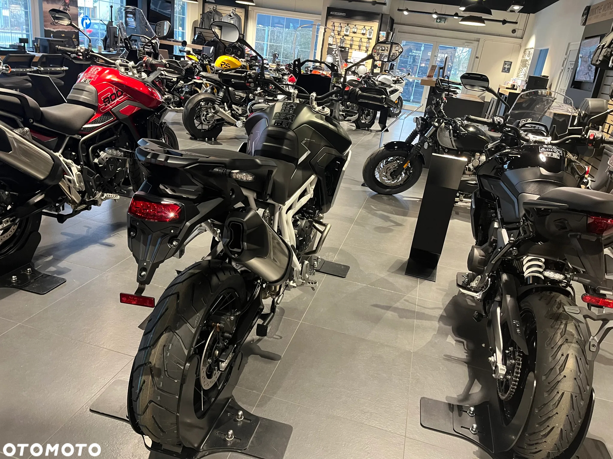 Triumph Tiger
