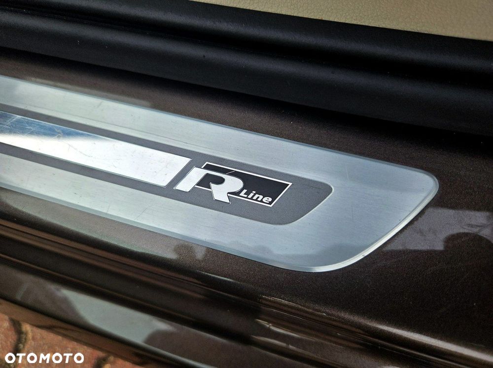 Volkswagen Beetle - 23