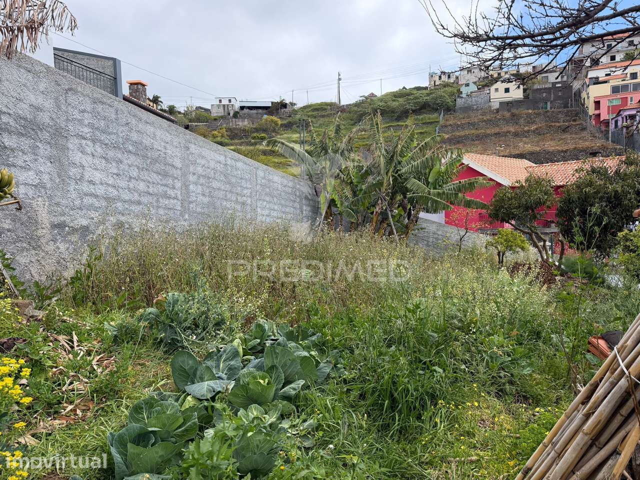 Casa térrea com terreno agrícola - Grande imagem: 4/16