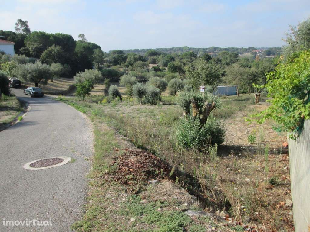 Terreno p/ Construção/Venda/Ourém - Grande imagem: 5/17