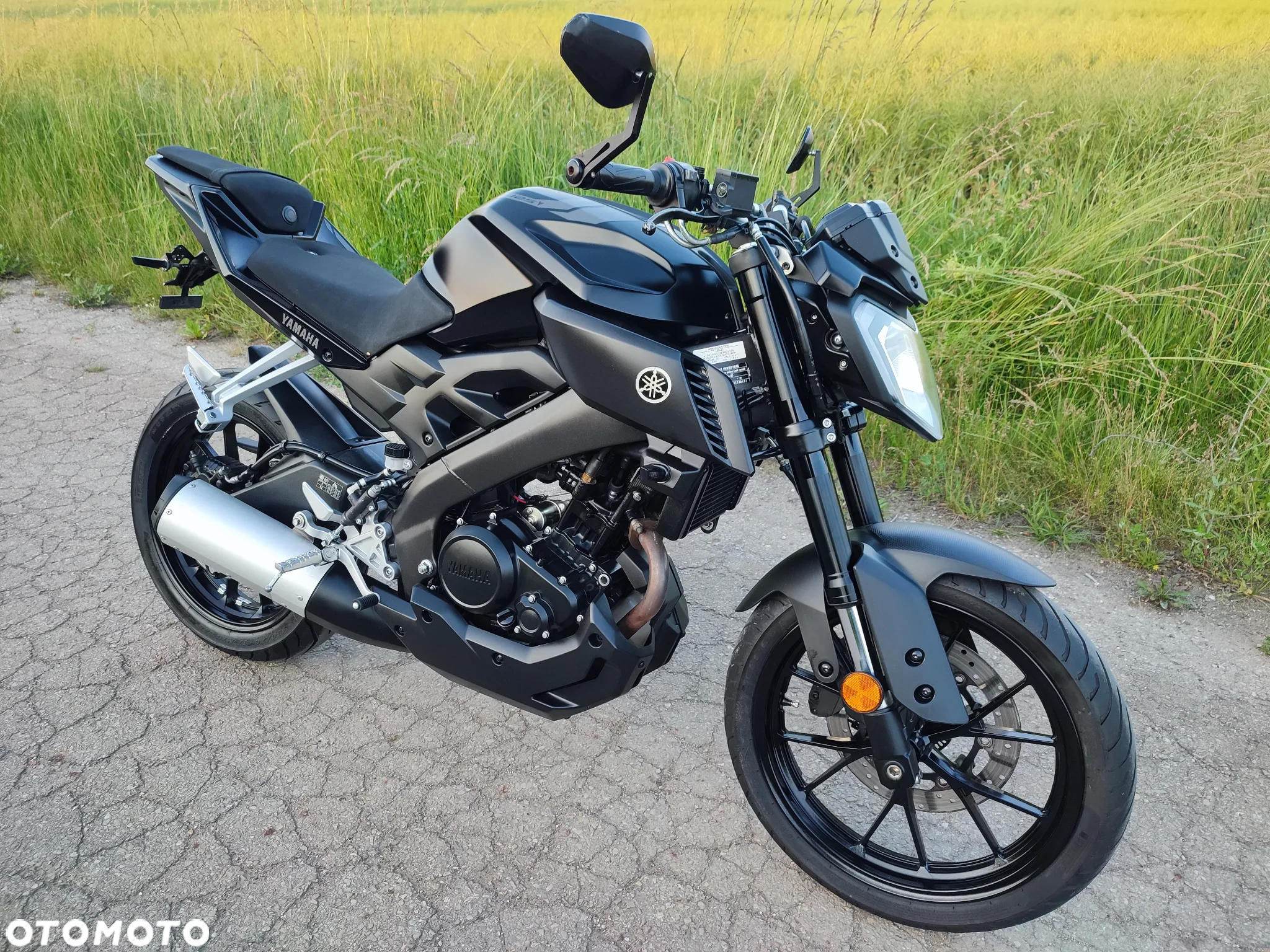 Yamaha MT - 33