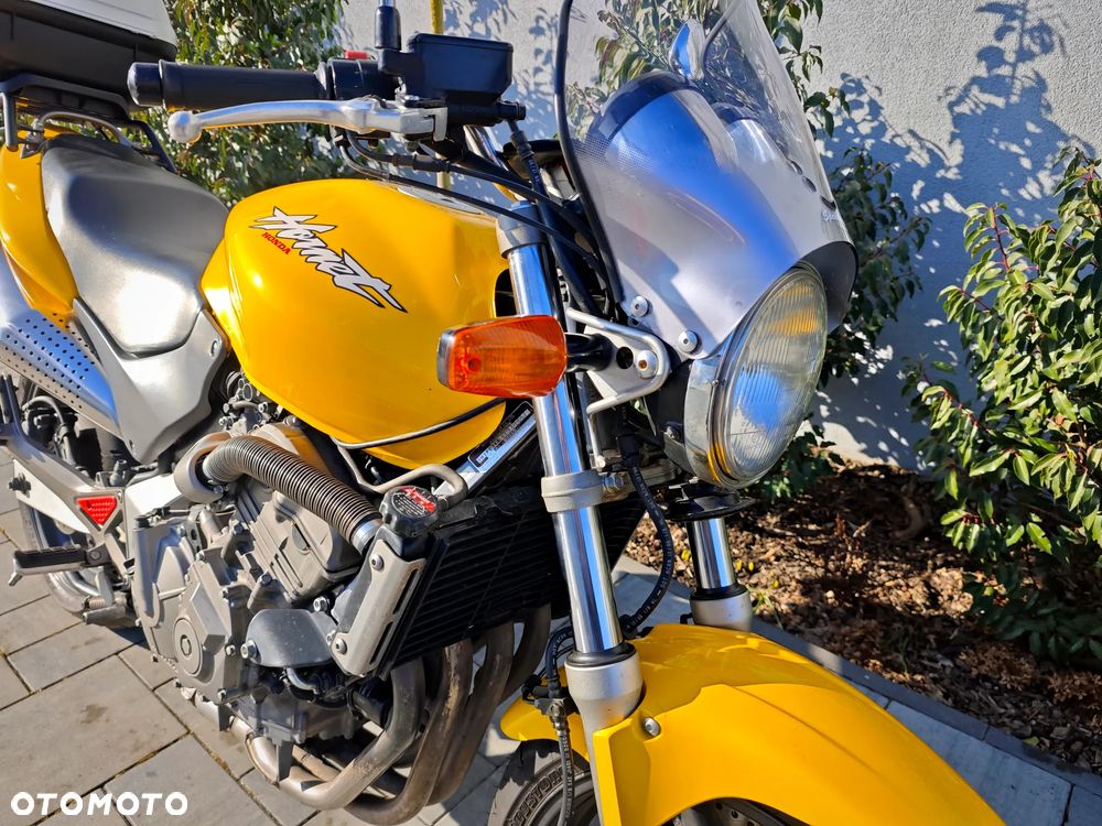 Honda Hornet - 18