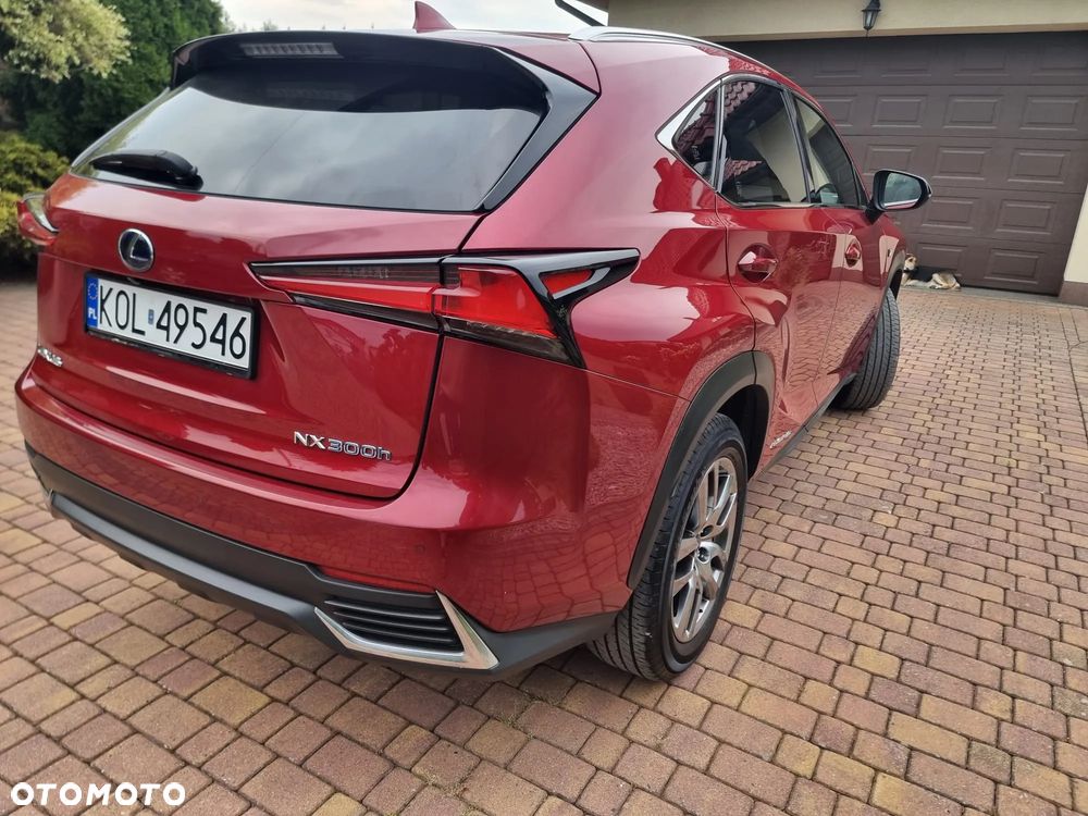Lexus NX 300h F Sport Edition AWD - 30