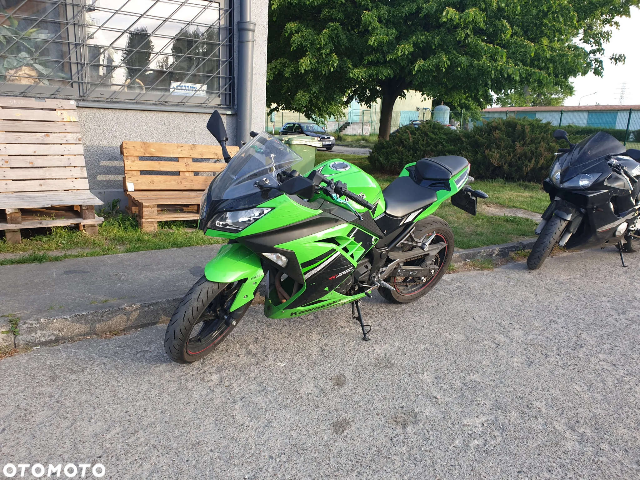 Kawasaki Ninja 300 ABS - 16