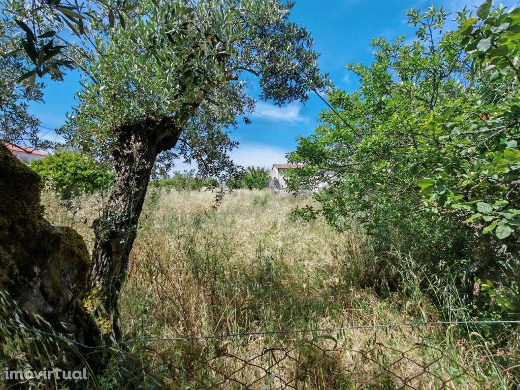 Terreno rústico em excelente localização - Grande imagem: 2/10