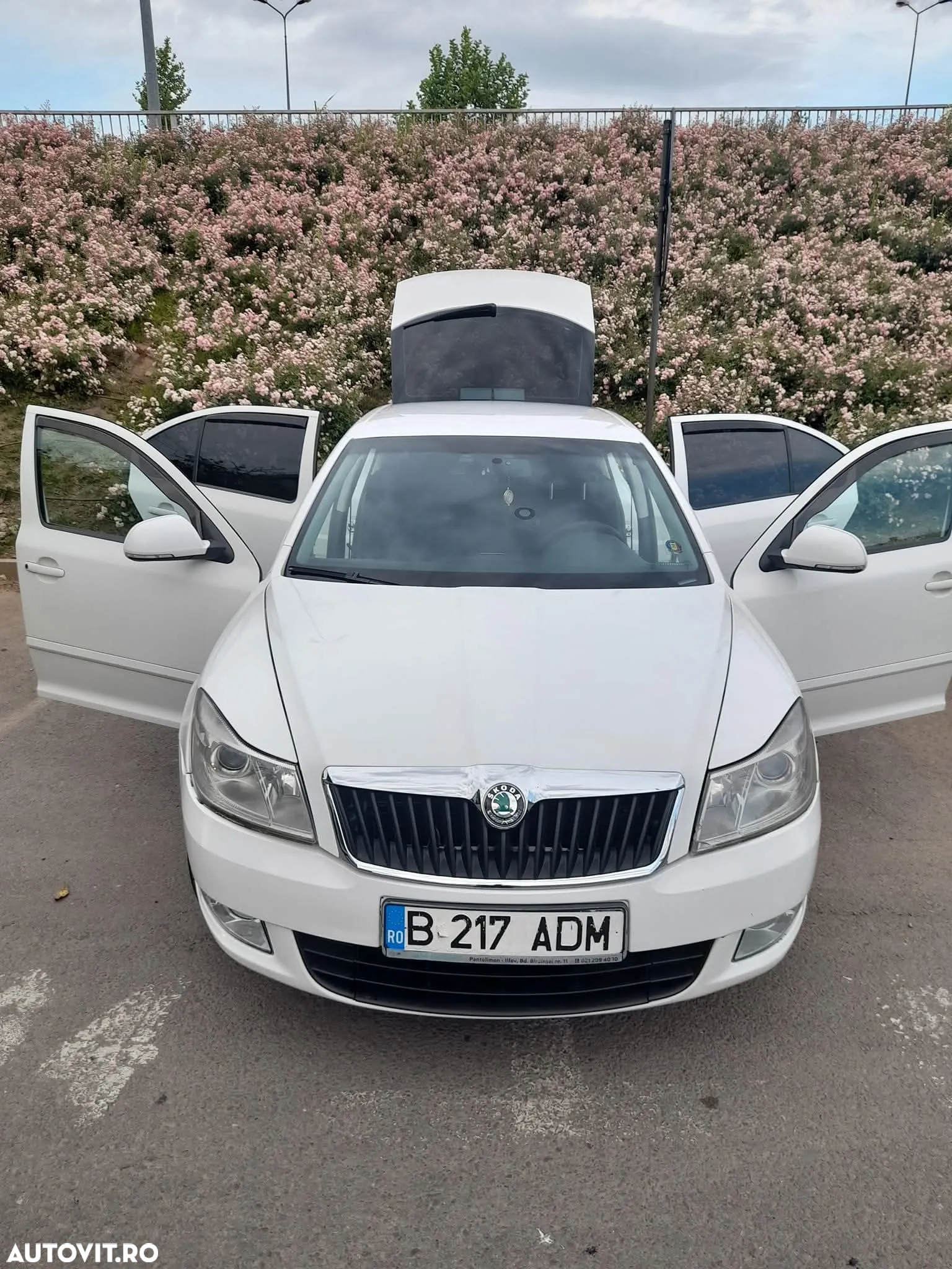 Skoda Octavia 1.6 TDI Drive - 23