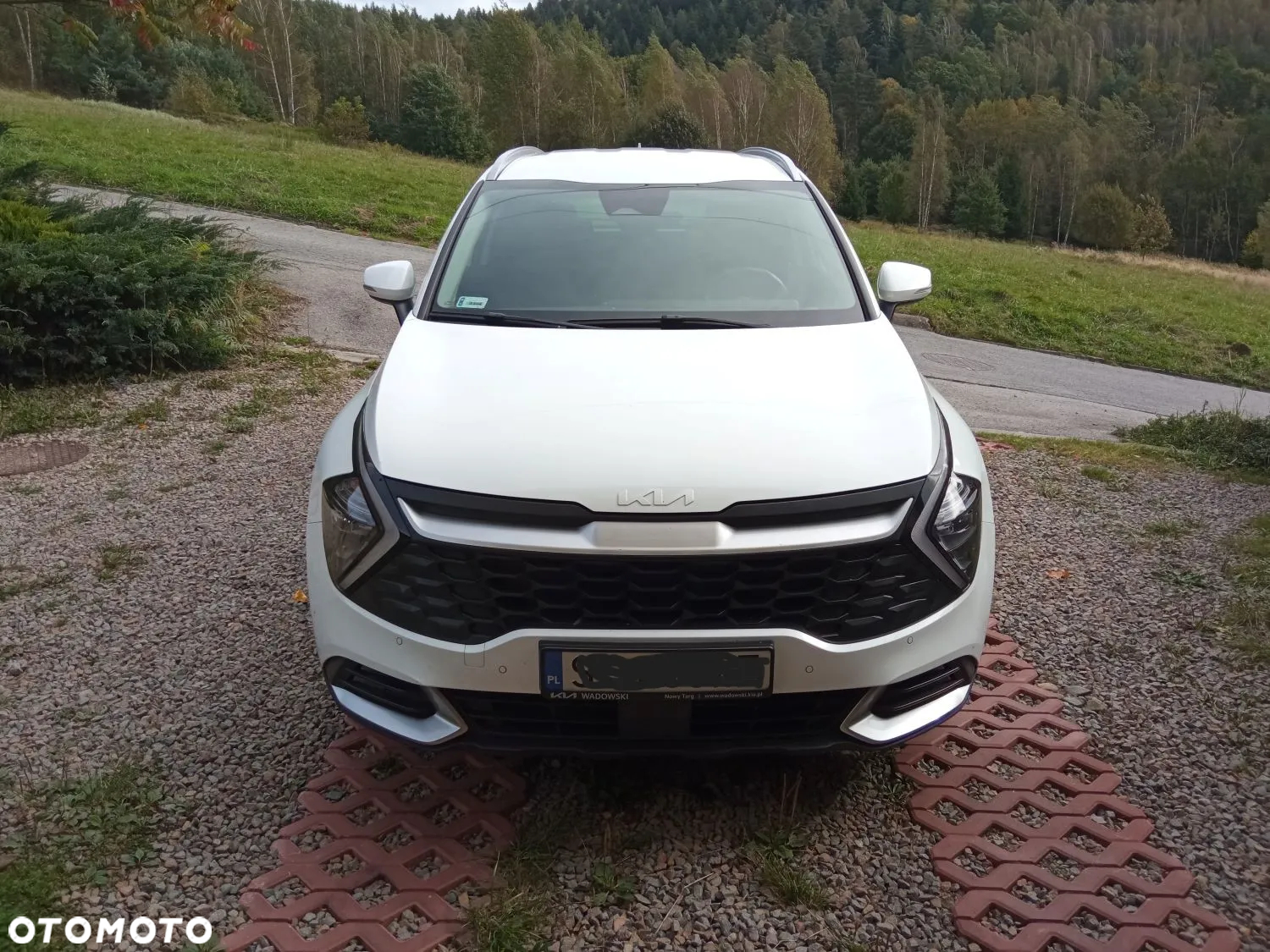 Kia Sportage 1.6 T-GDI L 4WD DCT - 2