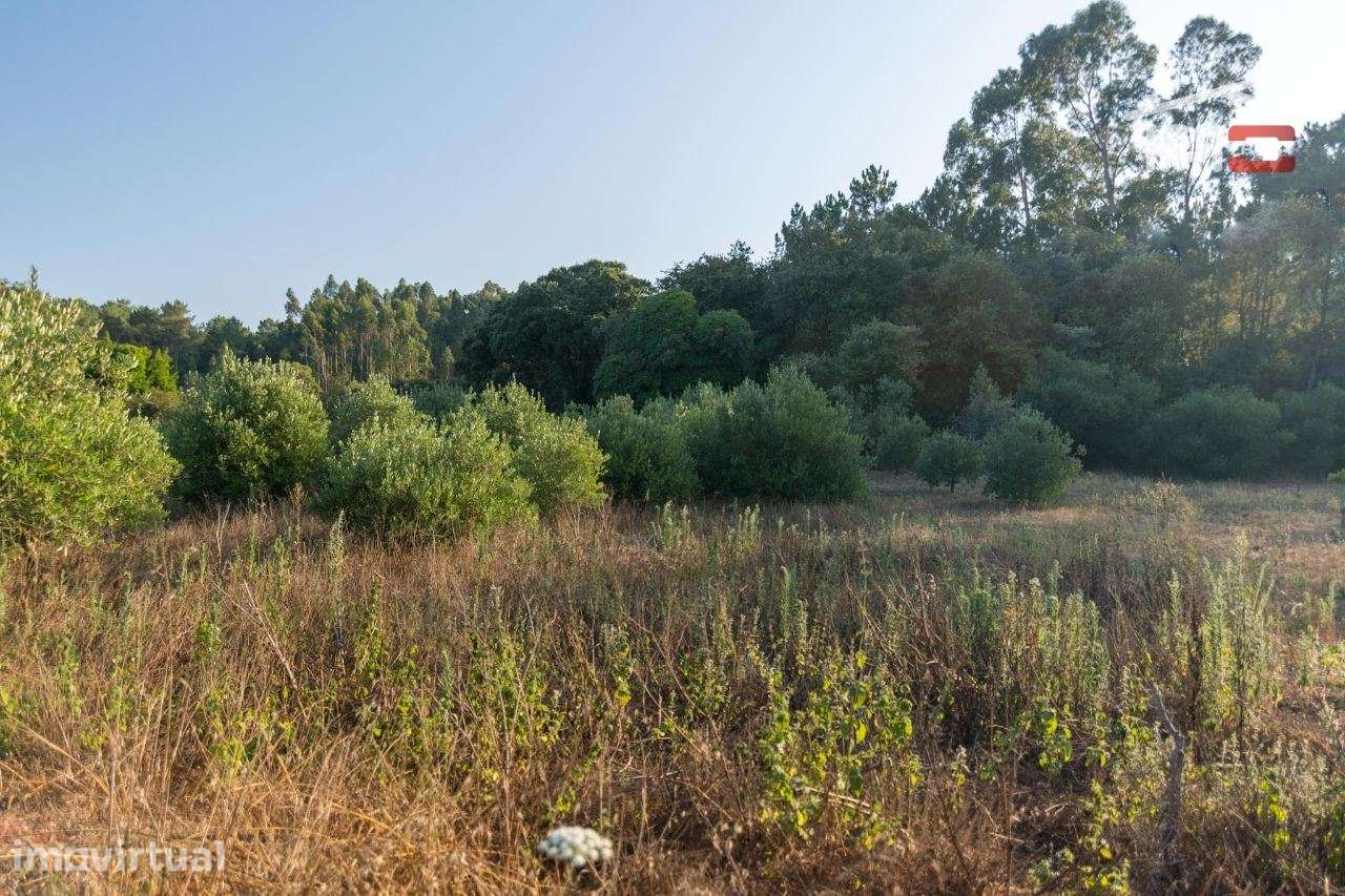 TERRENO RUSTICO COM AREA DE 680 COM OLIVAL EM BOUCEIROS PORTO DE MO... - Grande imagem: 2/4