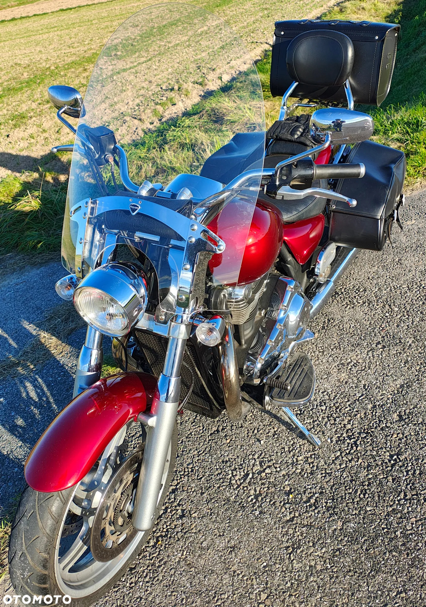 Triumph Thunderbird - 8