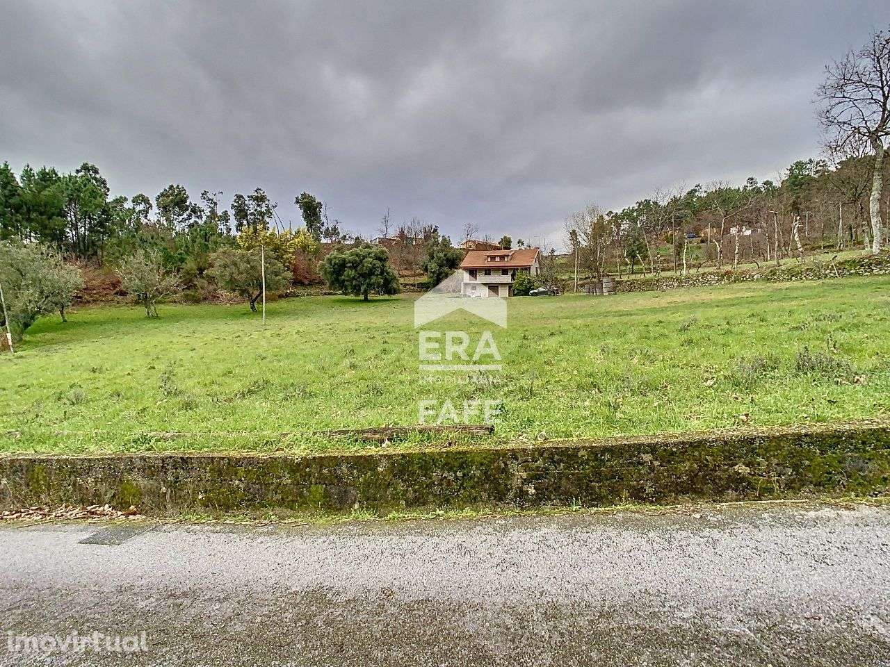 Quinta em Ribeira de Pena - Grande imagem: 5/40