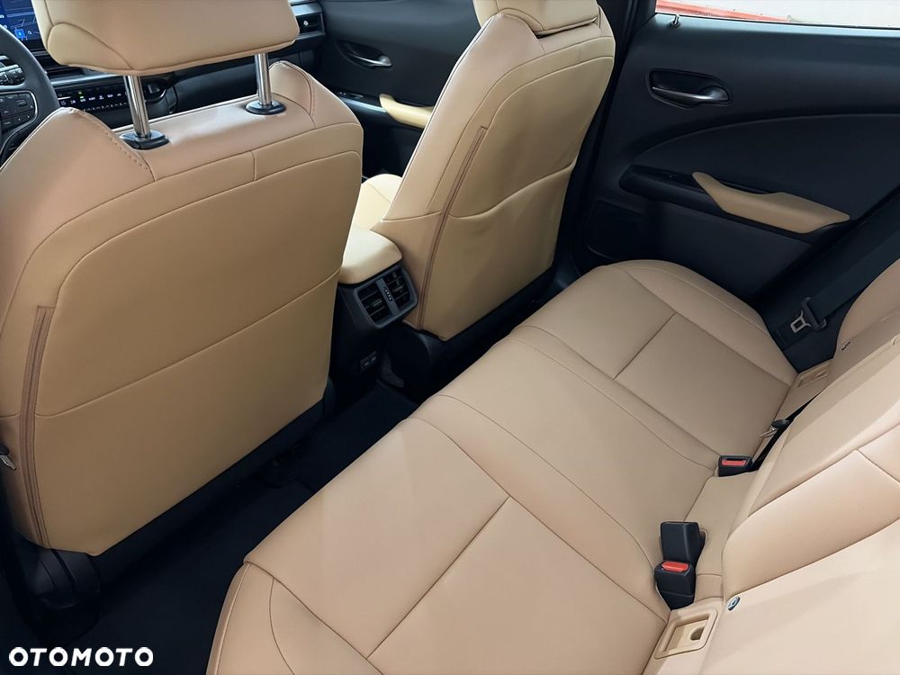 Lexus UX 300h F Sport Design - 11